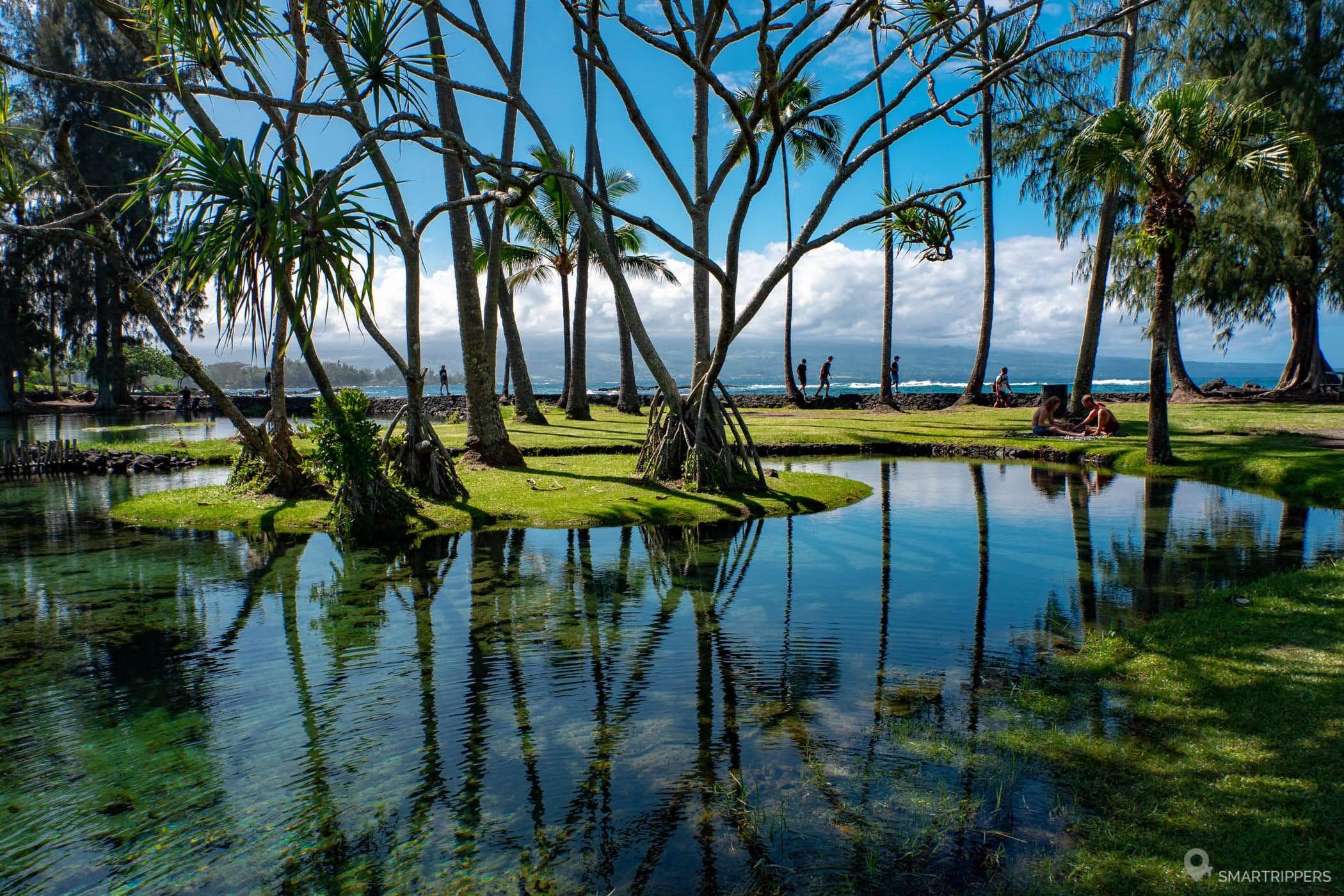 What to do in Hilo: seaside, waterfalls and lava tunnel - Hawaii by ...